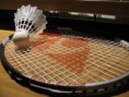 /album/photos-badminton/photo10-jpg/